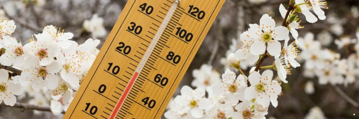 Sakarya’da Bugün Hava Durumu Nasıl
